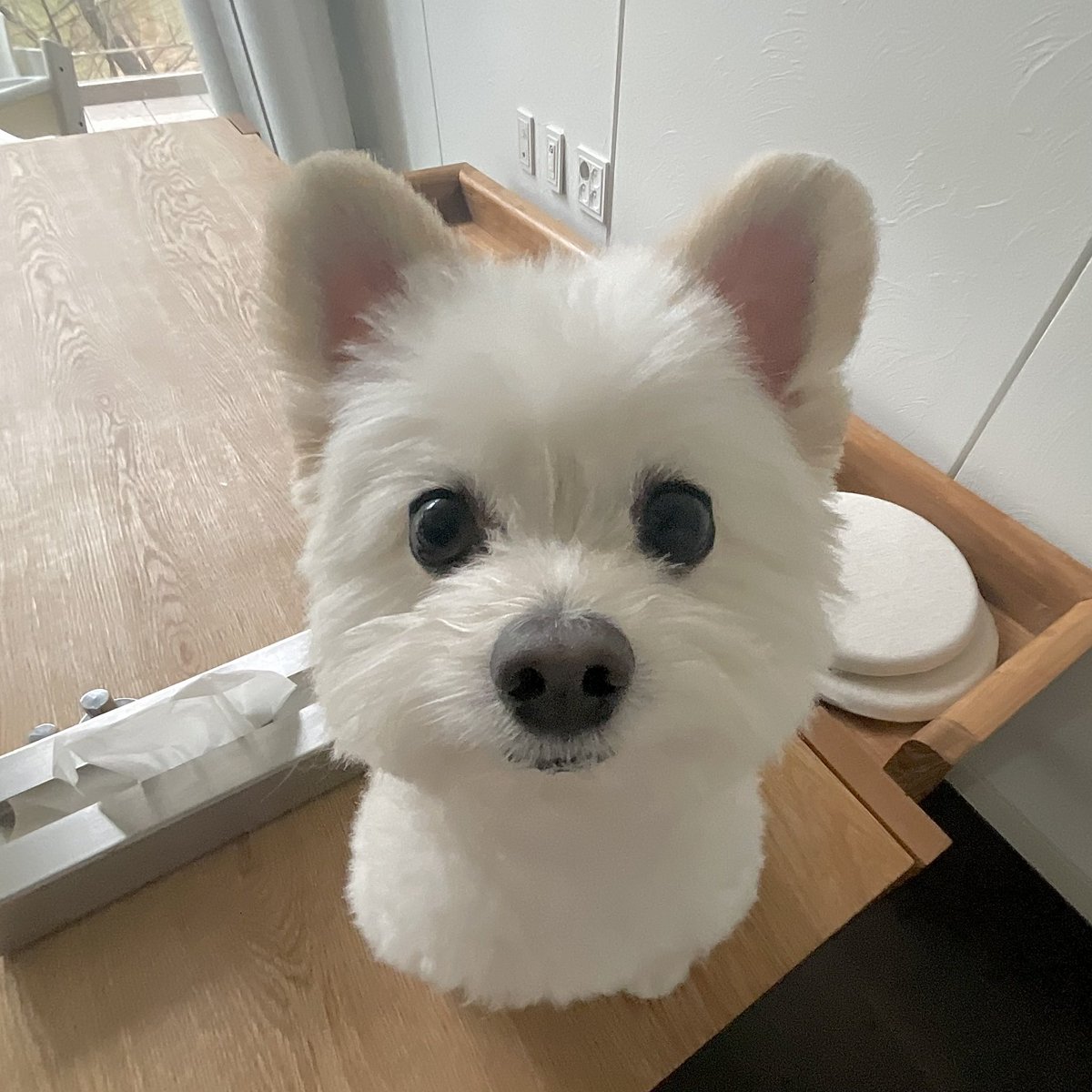 사전투표를 못했다고..?
괜찮아, 본 투표일에 하면 돼!