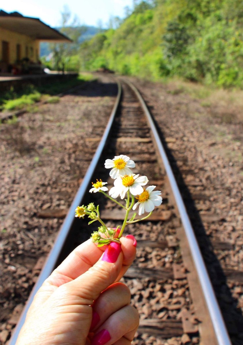 Hello Good morning X . May you have a bright and wonderful day like this flowers.