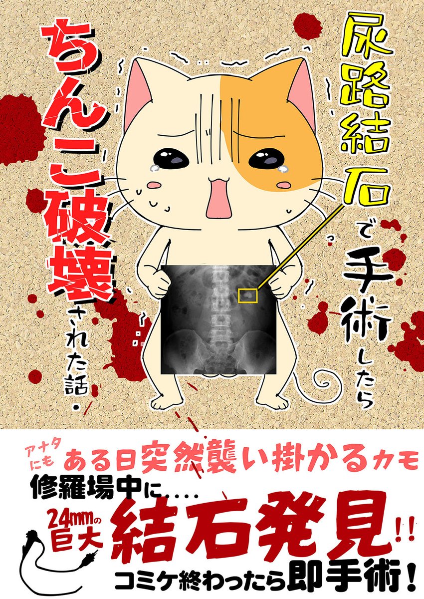 印刷がラインに乗ったらしいので
無事に(?)
出ます
新刊は
誰にでも起きる可能性のある結石手術本です 