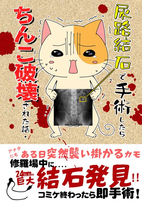 印刷がラインに乗ったらしいので
無事に(?)
出ます
新刊は
誰にでも起きる可能性のある結石手術本です 
