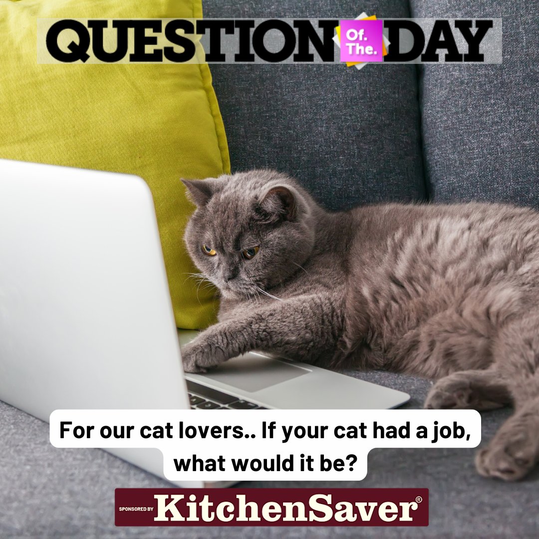 QUESTION OF THE DAY: For our cat lovers.. If your cat had a job, what would it be?

Comment your answer below!!