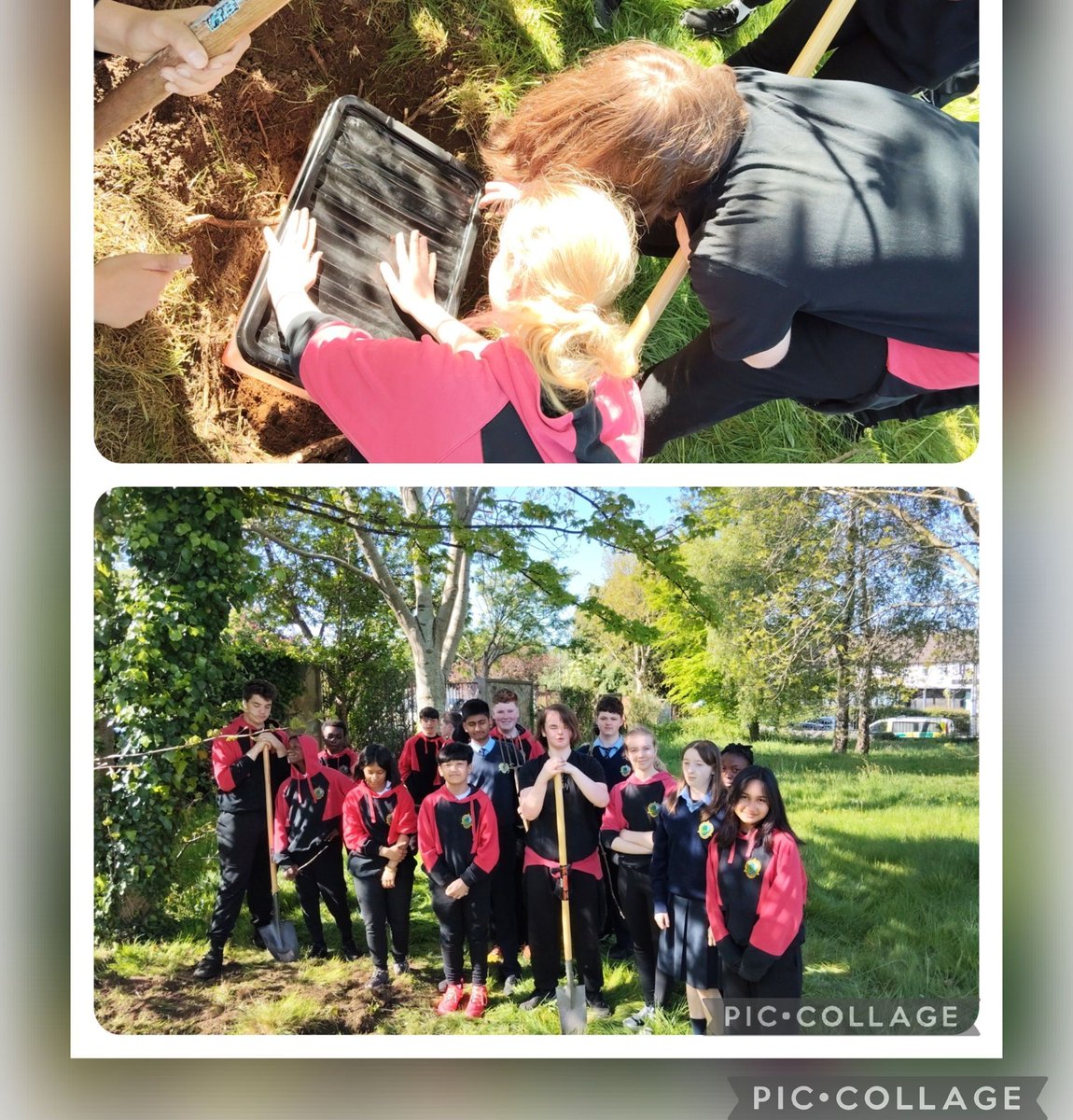 Holy Child CS Sallynoggin (@holychildcs) on Twitter photo The 2nd year students wrote a letter to their future self, buried it in a time capsule with various memorabilia, memories and ambitions and will be opened in their sixth year to reflect on their growth and changing goals!📜 <a href="/accsirl/">ACCS</a> <a href="/lecheiletrust1/">Le Chéile Schools Trust</a> <a href="/s_hccs/">Parent's Association HCCS</a> The 2nd year students wrote a letter to their future self, buried it in a time capsule with various memorabilia, memories and ambitions and will be opened in their sixth year to reflect on their growth and changing goals!📜 <a href="/accsirl/">ACCS</a> <a href="/lecheiletrust1/">Le Chéile Schools Trust</a> <a href="/s_hccs/">Parent's Association HCCS</a>