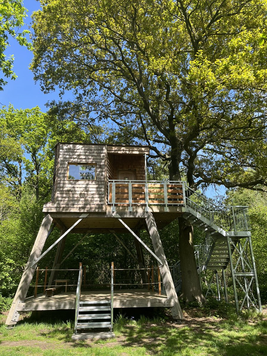 Coming soon, our treehouse in the woods is almost complete and available to rent for a tranquil escape
