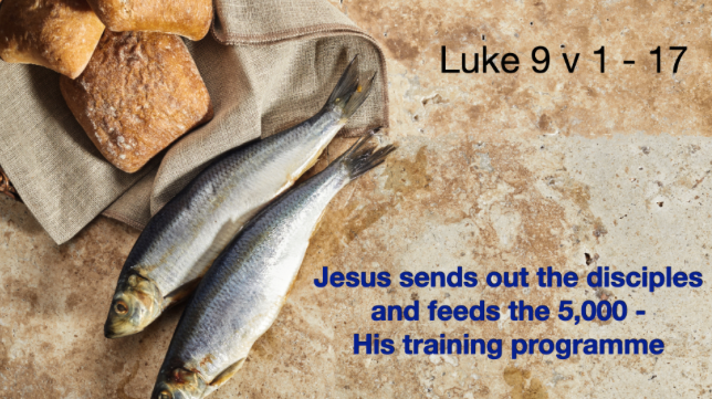 Christ Church Weekly News - 30th May 2025 - mailchi.mp/e9f41605d451/c…