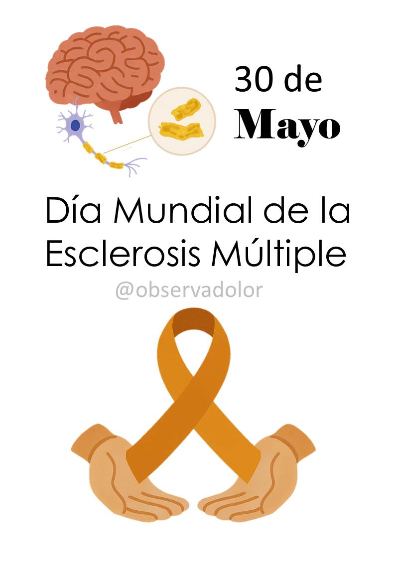 🗓️Hoy, 30 de mayo, se conmemora el Día Mundial de la Esclerosis Múltiple.
