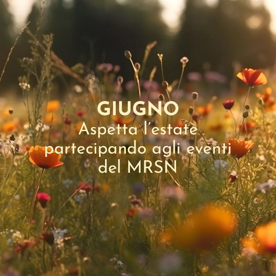 Il Museo Regionale di Scienze Naturali di via Accademia Albertina, 15, a Torino, ti aspetta a giugno con tantissimi eventi! Trovi tutte le iniziative su mrsntorino.it/it/eventi/