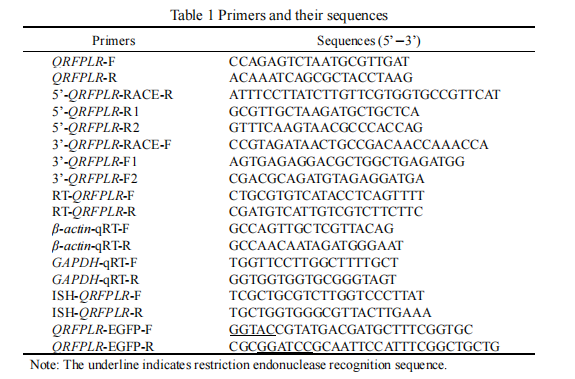 JOUChina's tweet photo. 'The First Non-Chordates <i>QRFP-Like</i> Peptide Receptor Gene in the Cephalopod <i>Sepiella japonica</i>: Identification, Characterization and Possible Role in Food Intake' an article on #ScienceOpen: https://t.co/5gkDxTWn3Z https://t.co/GFuZ7rtYII