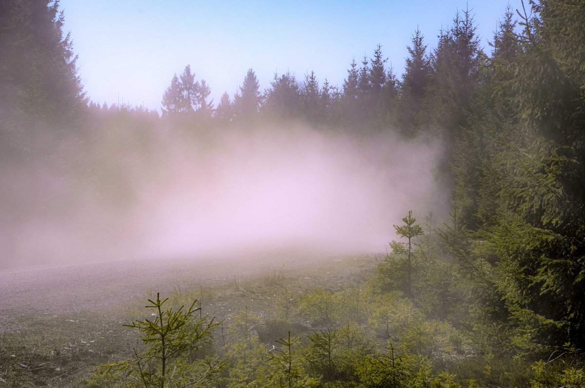 Vorläufige DWD-Bilanz zum Frühjahr 2025: Deutlich zu warm, extrem trocken und außergewöhnlich sonnig

Mehr Details, auch zu den Bundesländern, gibt es in unserer Pressemitteilung:
dwd.de/DE/presse/pres…
Foto: Rüdiger Manig / DWD
