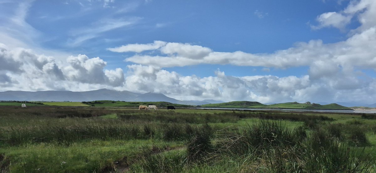 Good afternoon from Ireland 🇮🇪