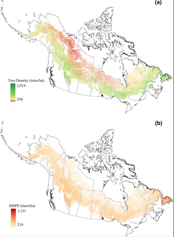 Ecography (@ecographyjourna) on Twitter photo How many trees are there in the North American boreal forest? vist.ly/3n5m777 #RandomForest #SSP #ClimateChange @ecography.bsky.social <a href="/NordicOikos/">Nordic Society Oikos</a> <a href="/WileyEcolEvol/">Wiley Ecology & Evolution</a> How many trees are there in the North American boreal forest? vist.ly/3n5m777 #RandomForest #SSP #ClimateChange @ecography.bsky.social <a href="/NordicOikos/">Nordic Society Oikos</a> <a href="/WileyEcolEvol/">Wiley Ecology & Evolution</a>