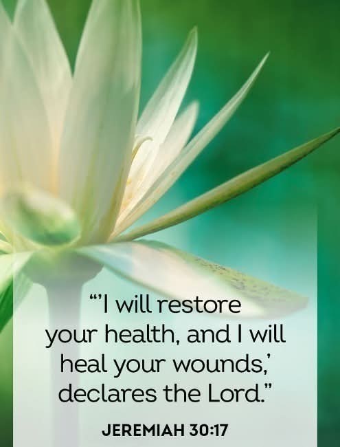 2hopperbaseball's tweet photo. I just wanted to ask for prayers for ALL the sick and suffering.
Good health is a gift - Don't Waste it!! There are people lying in hospital beds BEGGING for the opportunities you have. Pray for those who need the help.
Pick each other up.
#everyinningeveryday #lookforthegood https://t.co/lh5wyR1CSS