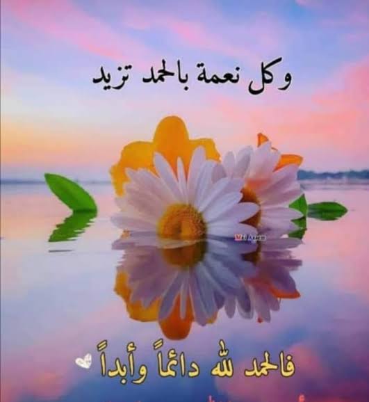 مزوون:🏡 Eng (@_0m01_) on Twitter photo #الصحبة_الصالحة 1
سبحان من أكرمنا بنعمةالإسلام
اللهم لناأخوة فيك أحببناهم. بالود ذكرناهم بظهرالغيب ندعولهم..
فيارب
اجعلناوإياهم في جنةالنعيم.
<a href="/N22_A3/">🇲🇾د.أحمد البابلي</a>
<a href="/__hms0/">☆ همســآت ☆</a>
<a href="/MJ1i2/">✨ 🍂 عِــزَّةُ النَّــفْــسِ 🍂✨</a>
<a href="/DrAlbideri/">Adnan Allbideri</a>
<a href="/Asmail102/">الجابري</a>
<a href="/Rymhse/">𝑟ꫀ𝑚𝑎 🧁</a>
<a href="/MAlshahdhy/">ابو العز الشاحذي</a>
<a href="/MubarakAlanaz16/">ابو سلطان الخطيب</a>
<a href="/AlqhmySmyr64783/">سمير القحمي</a>
#قروبات_البابلي_للاضافات
#دعم_مزوون #الصحبة_الصالحة 1
سبحان من أكرمنا بنعمةالإسلام
اللهم لناأخوة فيك أحببناهم. بالود ذكرناهم بظهرالغيب ندعولهم..
فيارب
اجعلناوإياهم في جنةالنعيم.
<a href="/N22_A3/">🇲🇾د.أحمد البابلي</a>
<a href="/__hms0/">☆ همســآت ☆</a>
<a href="/MJ1i2/">✨ 🍂 عِــزَّةُ النَّــفْــسِ 🍂✨</a>
<a href="/DrAlbideri/">Adnan Allbideri</a>
<a href="/Asmail102/">الجابري</a>
<a href="/Rymhse/">𝑟ꫀ𝑚𝑎 🧁</a>
<a href="/MAlshahdhy/">ابو العز الشاحذي</a>
<a href="/MubarakAlanaz16/">ابو سلطان الخطيب</a>
<a href="/AlqhmySmyr64783/">سمير القحمي</a>
#قروبات_البابلي_للاضافات
#دعم_مزوون