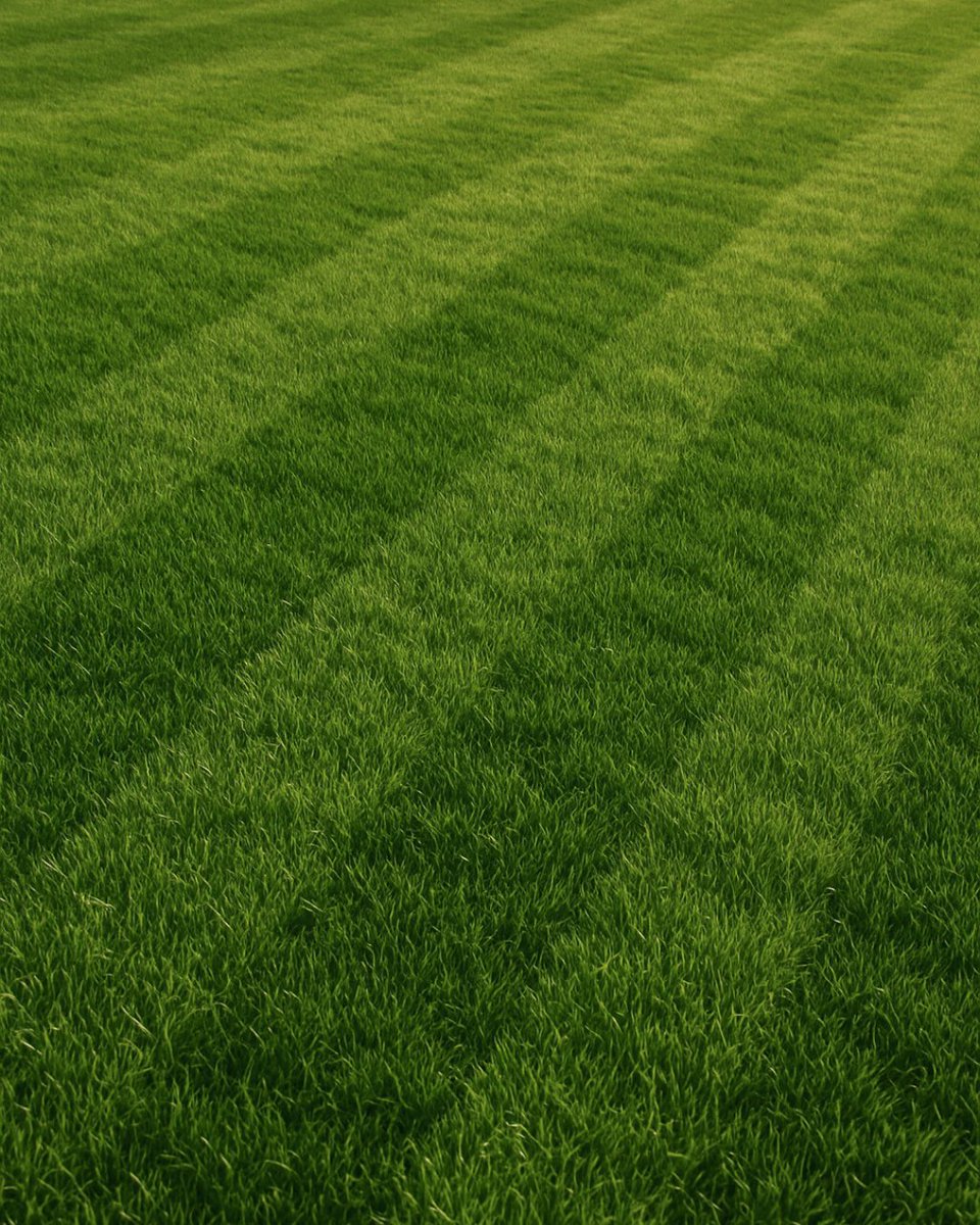 Transform your lawn with the unbeatable strength and beauty of Bermudagrass! 🌿✨

Known for its rich green color and incredible durability, Bermuda thrives in heat, recovers fast, and stands up to heavy foot traffic. 🌞⚽️

theturfgrassgroup.com/find-a-grower/