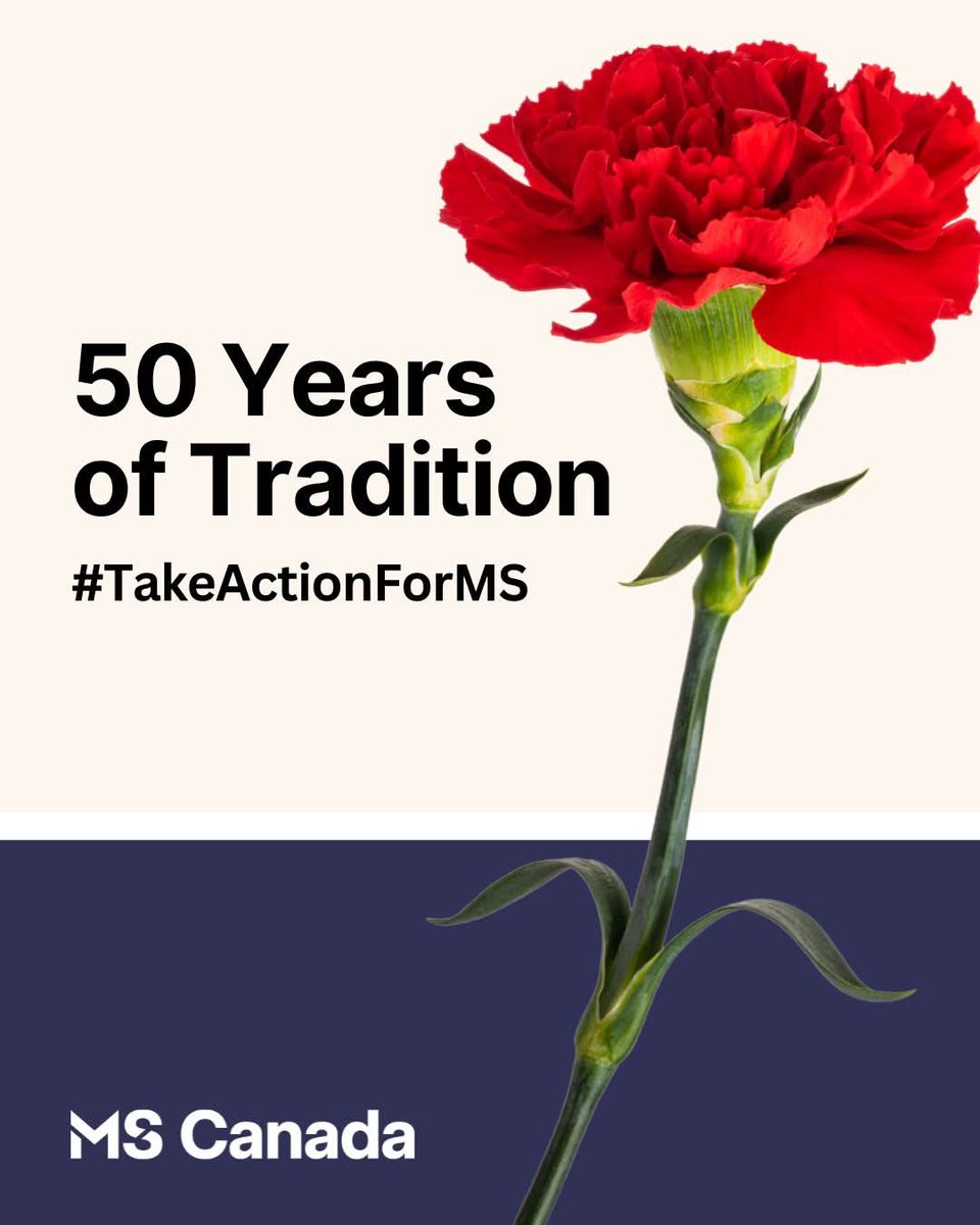 Carol Boomhour 🇨🇦 tweet media