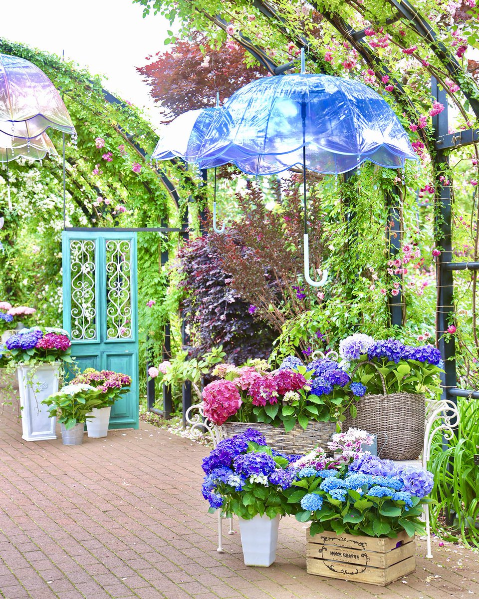 ガーゴイル　イングリッシュガーデン 楽天市場】英国 ガーデニング ガーデン『English Gargoyle decorative