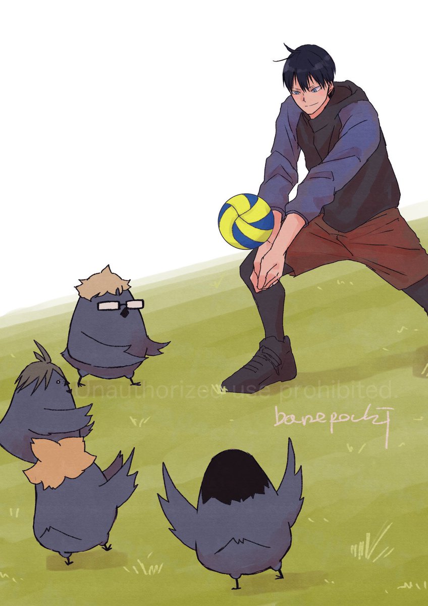 カラスに教える時はちょっと優しいかもしれない