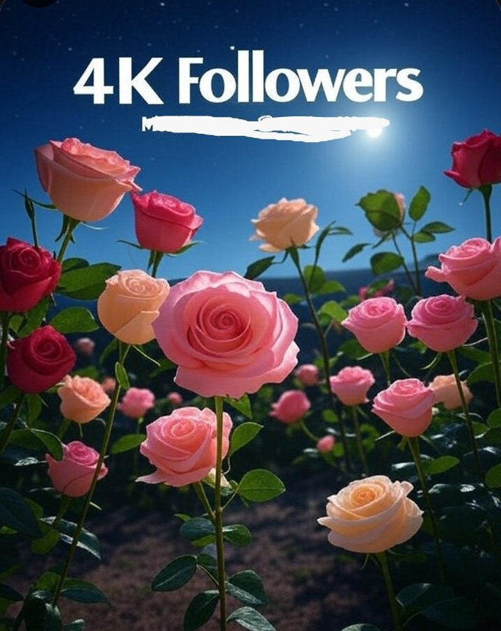 Shahzeb Khan (@saasi669) on Twitter photo Thank you from the bottom of my heart to all my dear X mate. Thanks for your love and support.I have reached 4K followers today.
<a href="/Twilight_1_1/">LiLy 🤍🥀</a>
<a href="/FatimaChau85596/">Fatima Chaudhry</a>
<a href="/beuttii/">🎀Spell bound🎀</a>
<a href="/TeaMix367088/">KING kakar</a>
<a href="/hkngddh_9765/">𝐌𝐚𝐬𝐨𝐨𝐦 (𝐏𝐭𝐢)</a>
<a href="/sultanjee33/">👑⚡𝐒𝐔𝐋𝐓𝐀𝐍⚡</a>
<a href="/MNKsaaah/">M NADEEM KHAN🇸🇦</a>
<a href="/poeter111/">Rohan lofar 🍂</a>
<a href="/Lostguy____/">𝐇𝐚𝐫𝐢s💙</a>
<a href="/VIC2255/">Rabia gull</a> Thank you from the bottom of my heart to all my dear X mate. Thanks for your love and support.I have reached 4K followers today.
<a href="/Twilight_1_1/">LiLy 🤍🥀</a>
<a href="/FatimaChau85596/">Fatima Chaudhry</a>
<a href="/beuttii/">🎀Spell bound🎀</a>
<a href="/TeaMix367088/">KING kakar</a>
<a href="/hkngddh_9765/">𝐌𝐚𝐬𝐨𝐨𝐦 (𝐏𝐭𝐢)</a>
<a href="/sultanjee33/">👑⚡𝐒𝐔𝐋𝐓𝐀𝐍⚡</a>
<a href="/MNKsaaah/">M NADEEM KHAN🇸🇦</a>
<a href="/poeter111/">Rohan lofar 🍂</a>
<a href="/Lostguy____/">𝐇𝐚𝐫𝐢s💙</a>
<a href="/VIC2255/">Rabia gull</a>