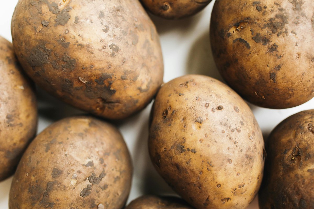 Today is the International Day of #Potato, and there's more to them than you think.

#Vodka can be made from #potatoes and some are known for their creamy texture and distinct #flavour. 

Other #beverages like #poteen, can also be made from potato. 

thebwa.com