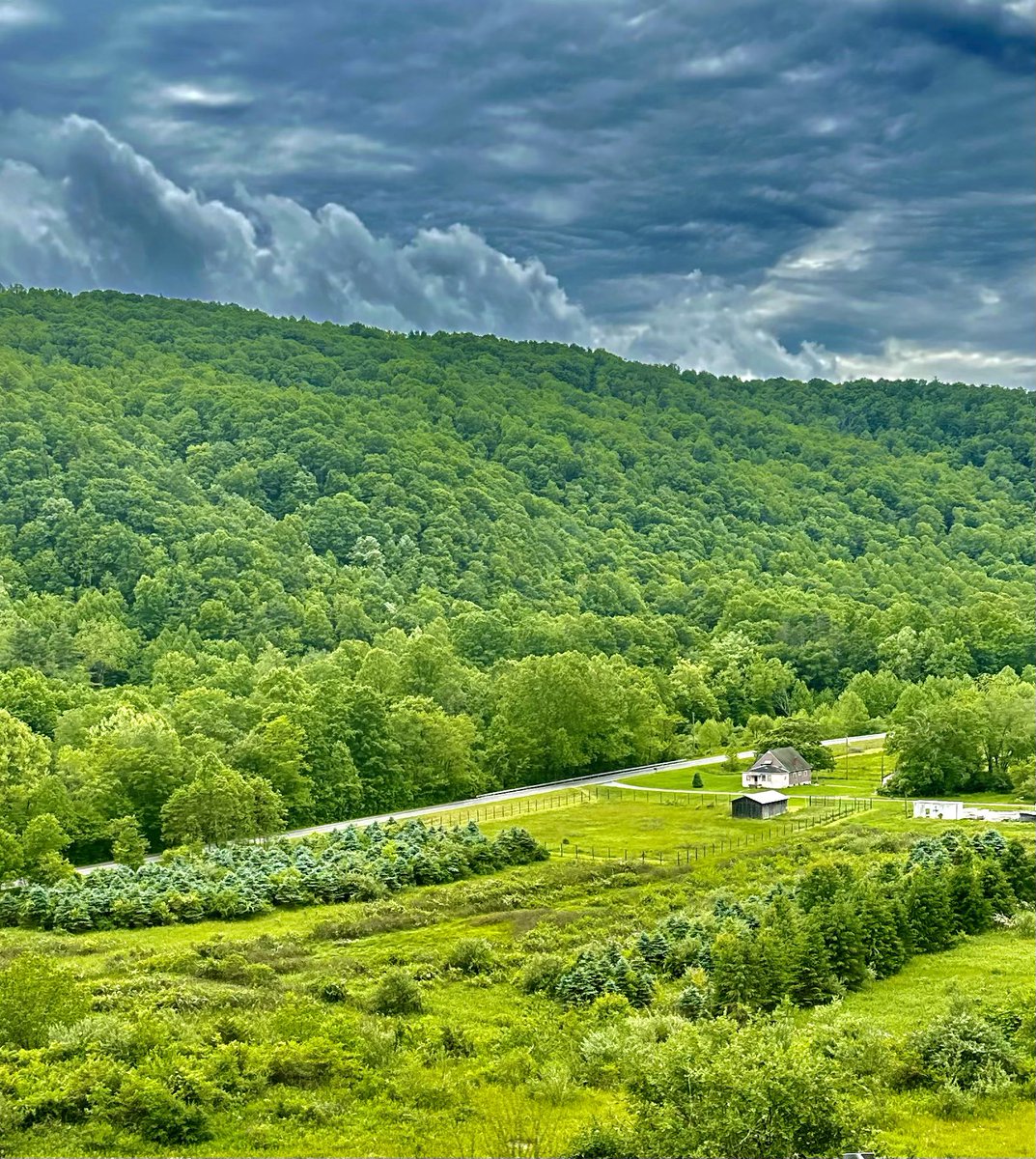 GetOnTap's tweet photo. Good morning Appalachia https://t.co/jRQuL0B5Ij