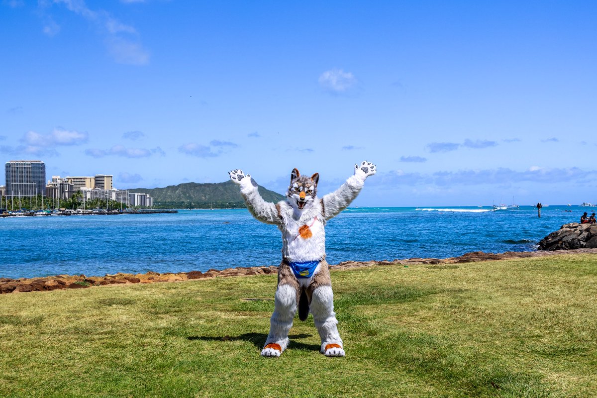 LostyWolfHI's tweet photo. Absolutely in love with today’s #FursuitFriday special~ hehe awoo!
#808Furs #808FurryEvents #Furry https://t.co/Pybslc091H