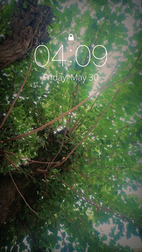 Lostguy____'s tweet image. "یہ ہمارے گھر کا درخت ہے۔ ہم اس کے نیچے سوتے بھی ہیں، اور یہ ہمیں دھوپ میں بھی فائدہ دیتا ہے۔ میری سب سے گزارش ہے کہ اپنے گھروں میں زیادہ سے زیادہ درخت اور پودے لگائیں، تاکہ ہم سب اس کے فائدے حاصل کر سکیں  
#VillageLife  
#GreenPakistan  
#TreePlantation  
#NatureLovers