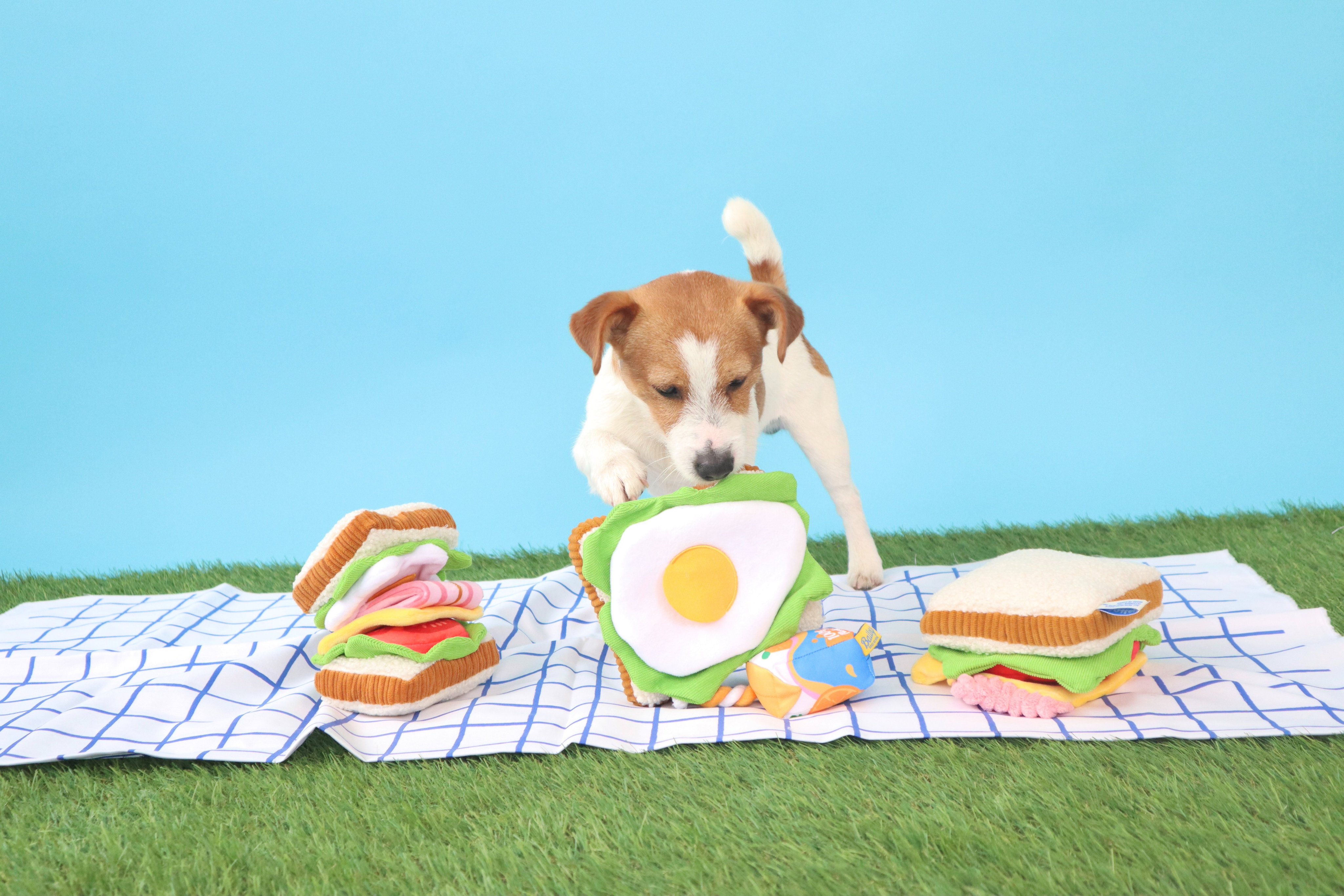 Doggy Box(ドギーボックス) (@doggybox_jp) / X
