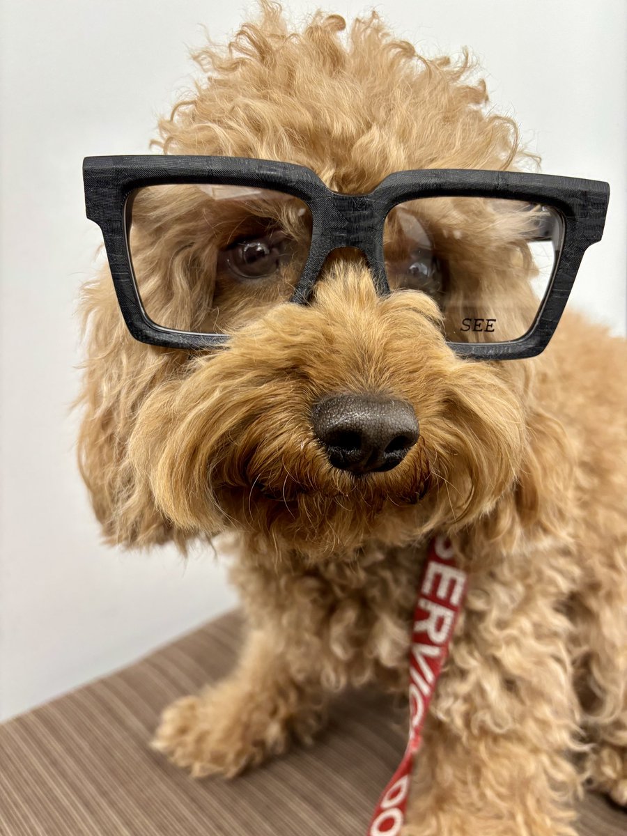 See eyewear #seeeyewear