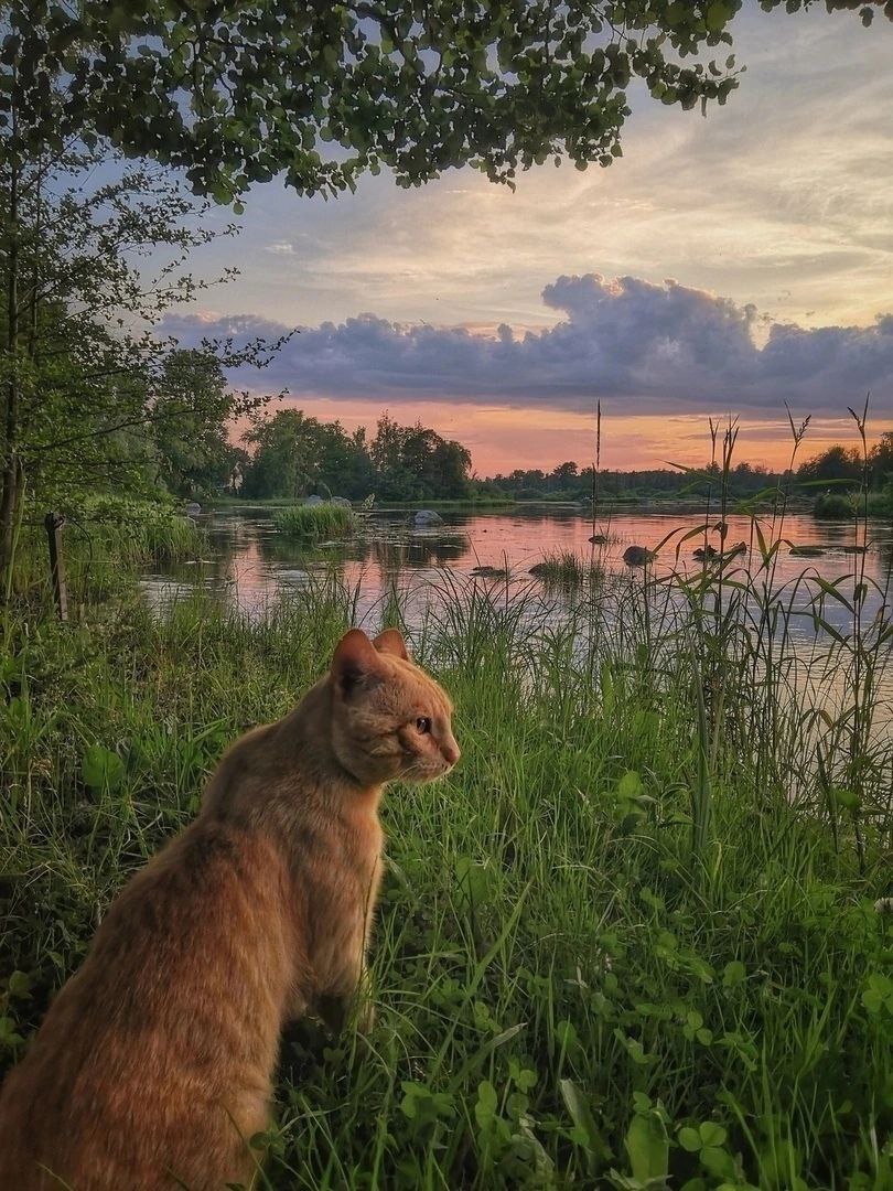 Сейчас бы туда