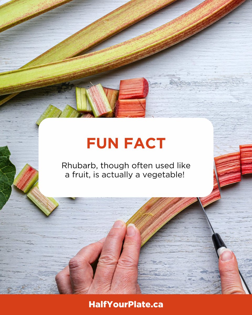 HalfYourPlate's tweet image. That’s right, rhubarb is a veggie! 🤯 Its stalk has a tart flavor, often used in pies and preserves 🥧🍓 But make sure to avoid the leaves they’re toxic! Learn how to make your own rhubarb chutney 👉 halfyourplate.ca/blog/rhubarb-c… #SpringProduce #SpringEats #EatSeasonal #HalfYourPlate