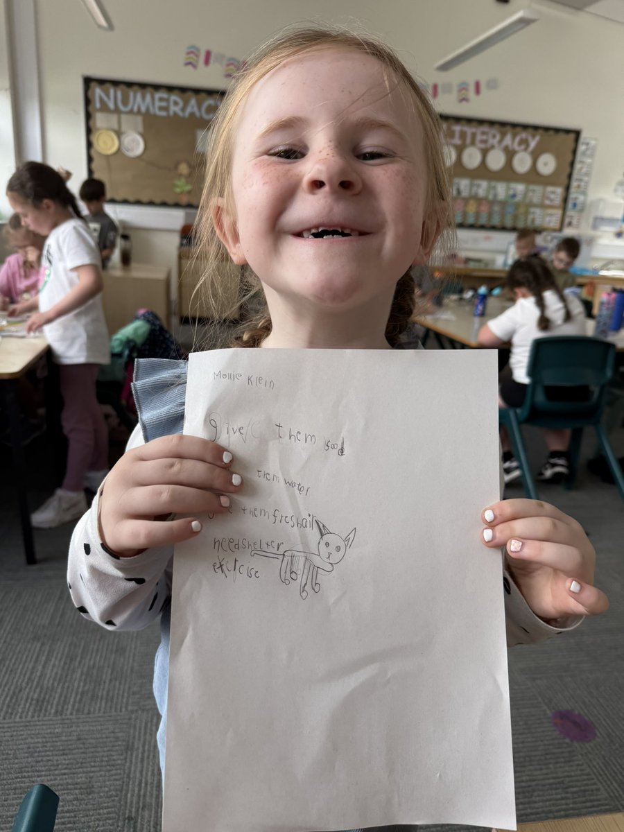 MissDoyleNPS's tweet photo. This afternoon we were learning how to take care of pets. We then created informative posters! 🐶🐱🐠🐍🦜 @MissRodgersNPS https://t.co/mTR5gM8vFe
