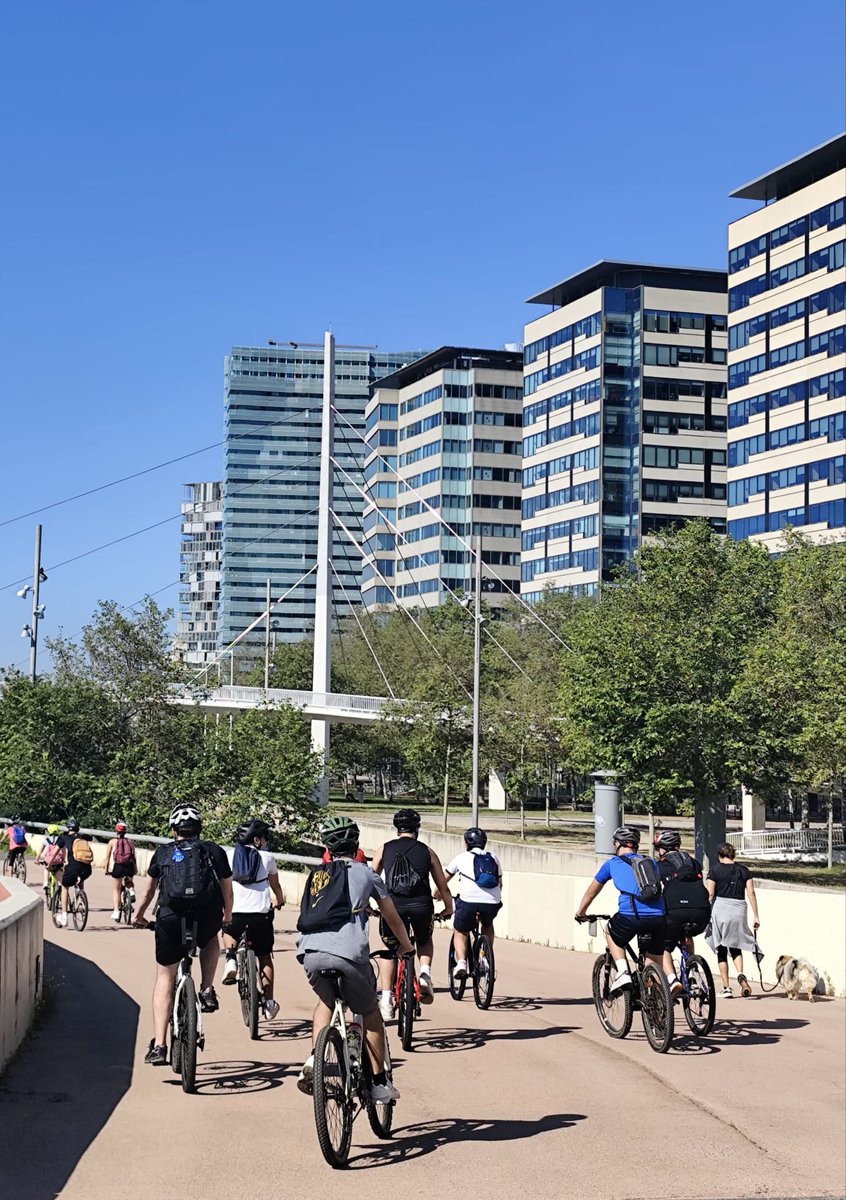 Col·legi Sant Andreu tweet media