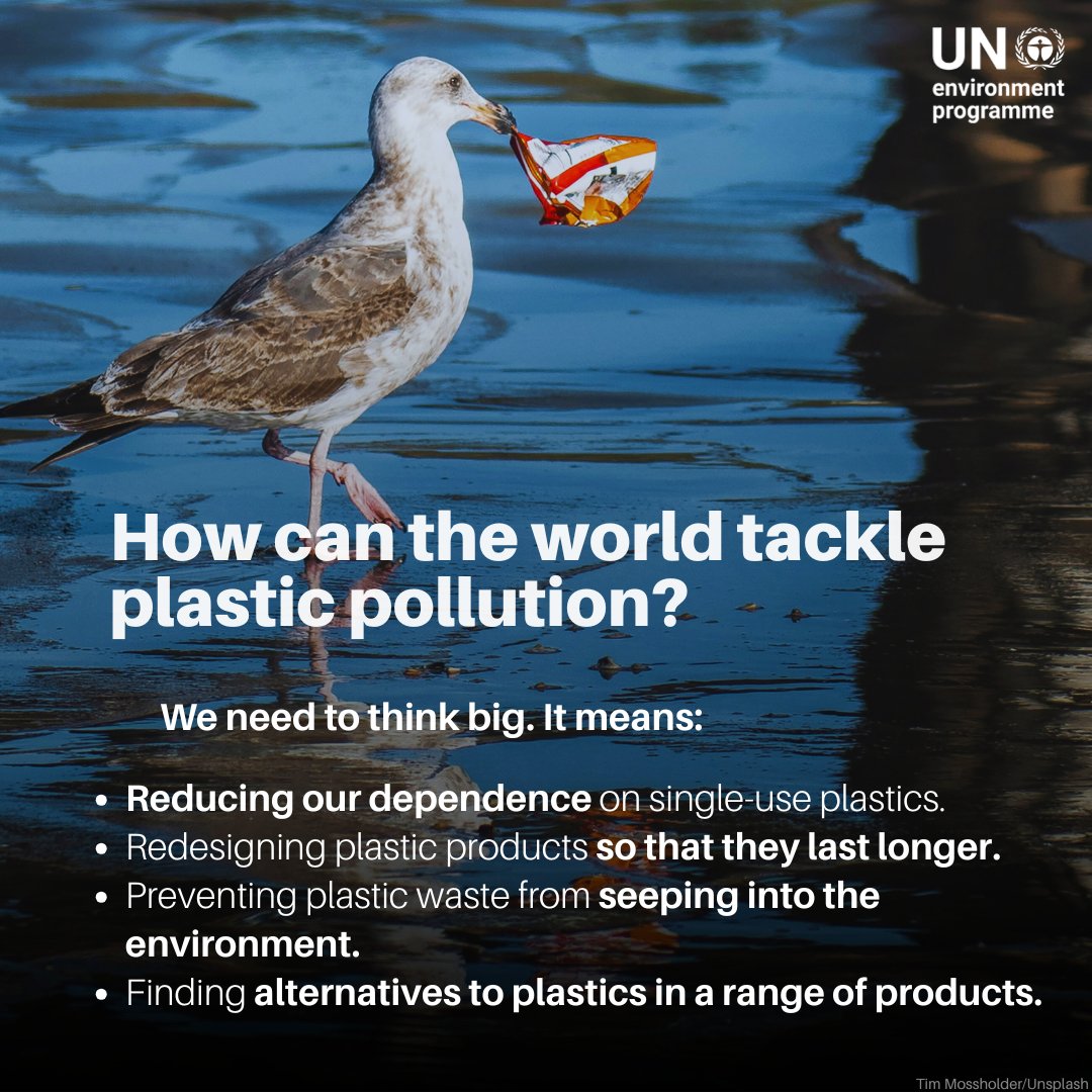 UN Biodiversity (@unbiodiversity) on Twitter photo Last year alone, the world generated around 400 million tonnes of plastic waste.
Ahead of #WorldEnvironmentDay, here’s a closer look at what plastic pollution is, why it’s such a problem, and what can be done about it.
unep.org/news-and-stori…
<a href="/UNEP/">UN Environment Programme</a> Last year alone, the world generated around 400 million tonnes of plastic waste.
Ahead of #WorldEnvironmentDay, here’s a closer look at what plastic pollution is, why it’s such a problem, and what can be done about it.
unep.org/news-and-stori…
<a href="/UNEP/">UN Environment Programme</a>