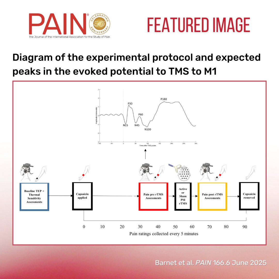 IASP (@iasppain) on Twitter photo This week’s #PAIN Featured Image is a diagram of the experimental protocol and expected peaks in evoked potential to TMS to M1. Learn more in <a href="/DrNahianC/">Nahian Chowdhury</a> et al. bit.ly/4mic9yz This week’s #PAIN Featured Image is a diagram of the experimental protocol and expected peaks in evoked potential to TMS to M1. Learn more in <a href="/DrNahianC/">Nahian Chowdhury</a> et al. bit.ly/4mic9yz