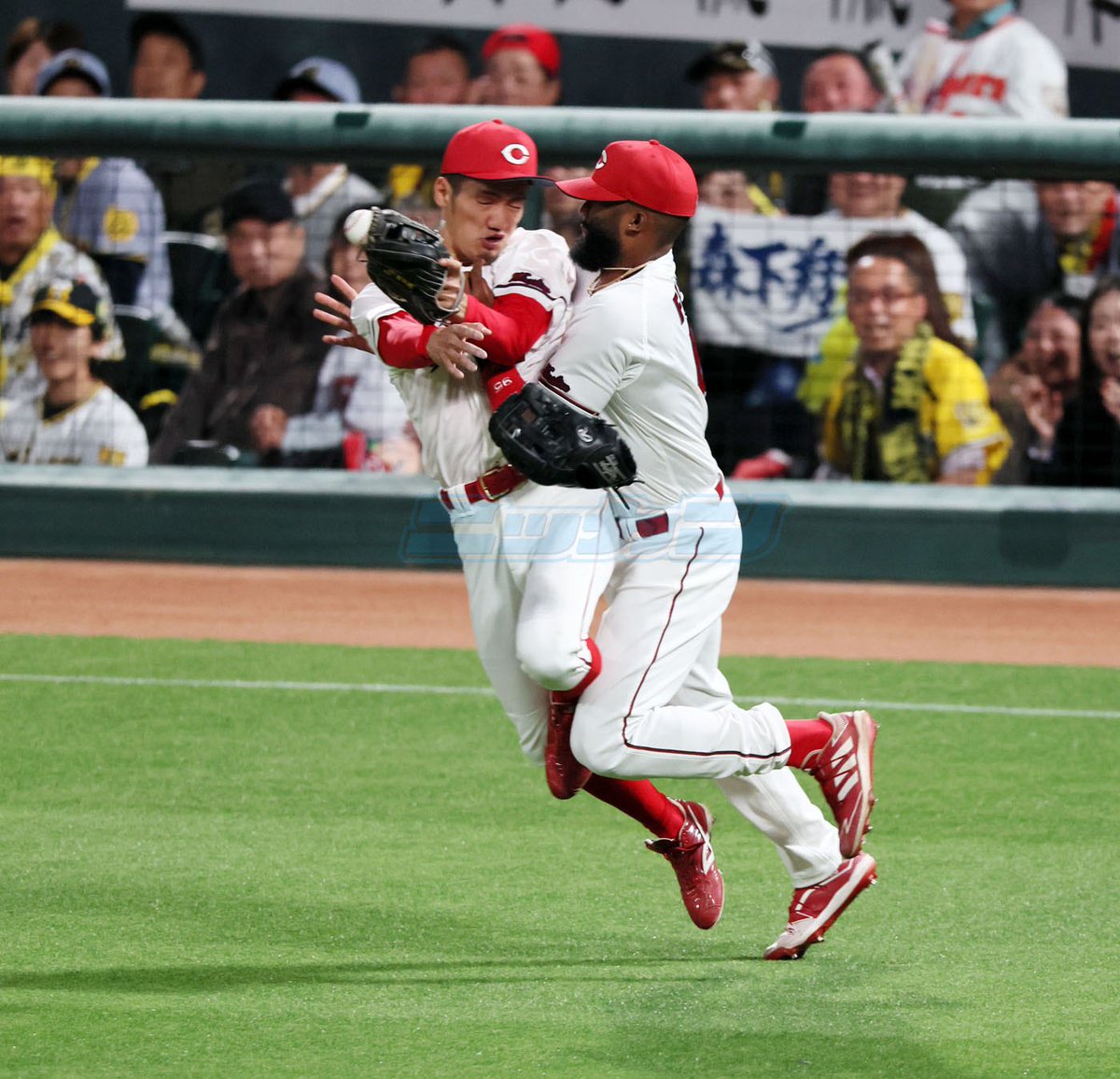５回表２死一、三塁から森下の飛球を追って背走した遊撃矢野が、左翼ファビアンと激突（撮影・加藤哉）#カープ #carp #タイガース #矢野雅哉 #ファビアン