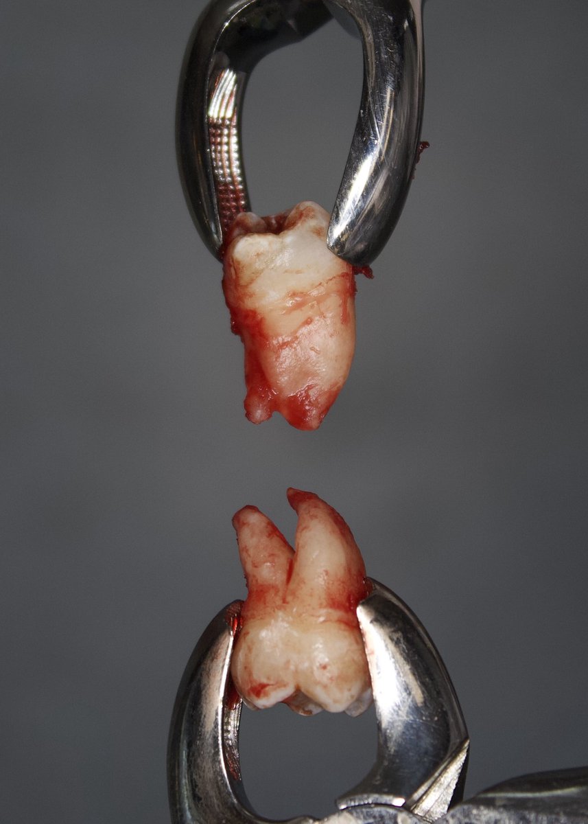 شُموخ العثيم tweet media