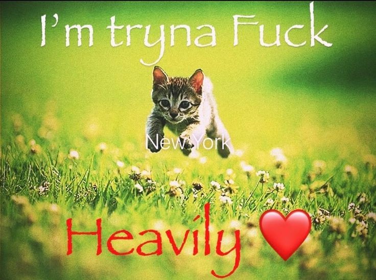 Finalmente phantom alter 😭😭😭😭😭😭😭😭😭😭😭😭😭😭😭😭😭😭😭😭😭