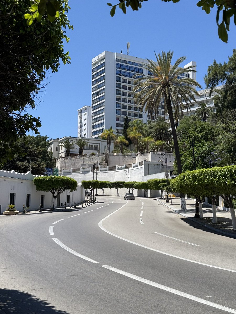 Friday morning vibes
#Algiers
📍 Av. Franklin Roosevelt