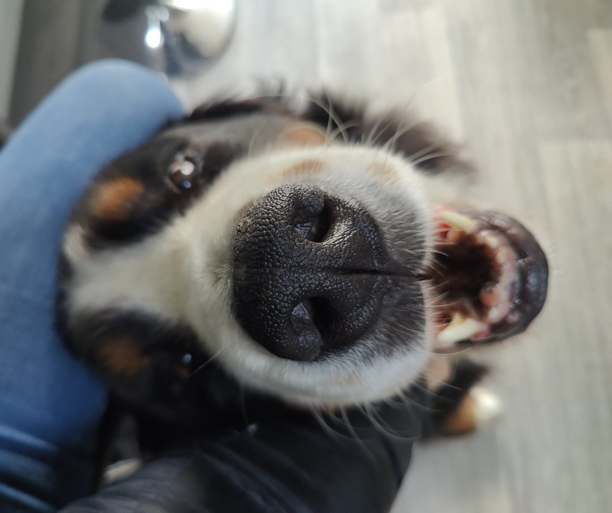 So mum arranged surgery for the 6th August to remove both lumps. You know what else is on the 6th of August??? My birthday!! Heartless b**ch 😲🤣!!