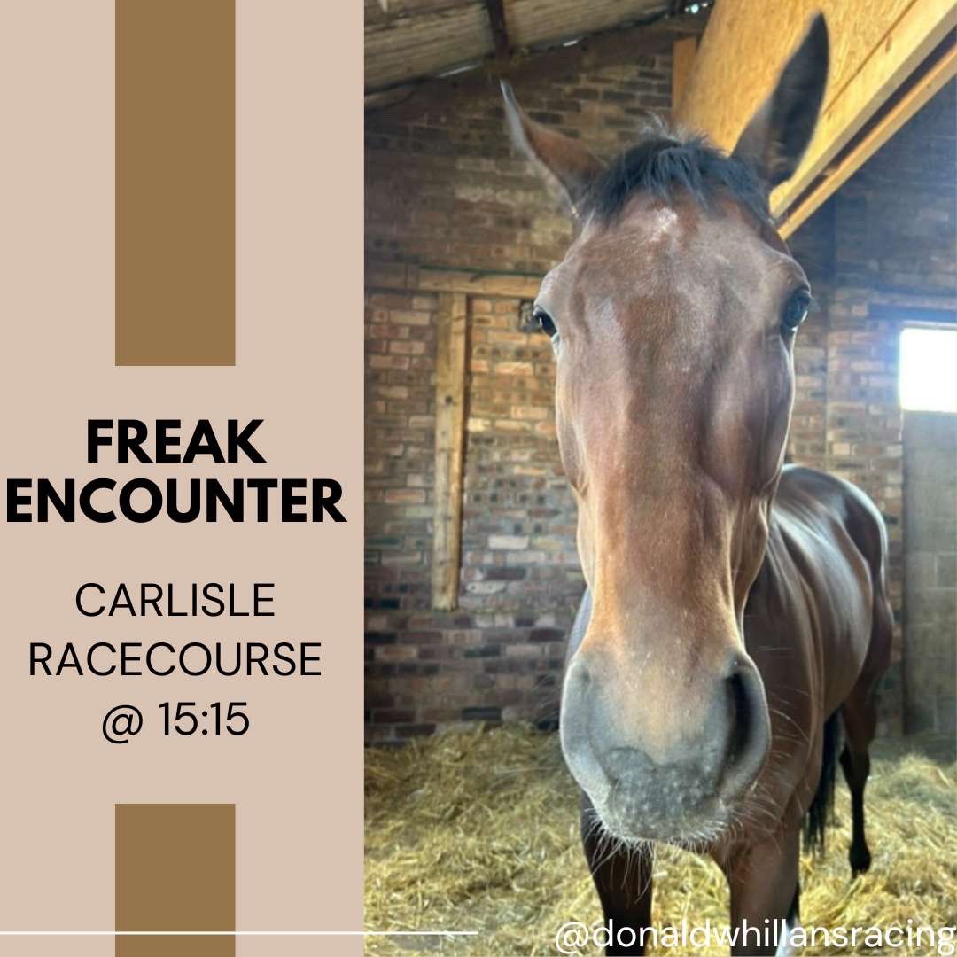 🏁Race Day🏁

We are off to <a href="/CarlisleRaces/">Carlisle Racecourse</a> today!🐴

⏰ 15:15
🐎 FREAK ENCOUNTER
⚡️ Dougie Costello in the saddle 
🔑 for The Adbrokes Partnership

🤞🏼Good Luck Team🤞🏼