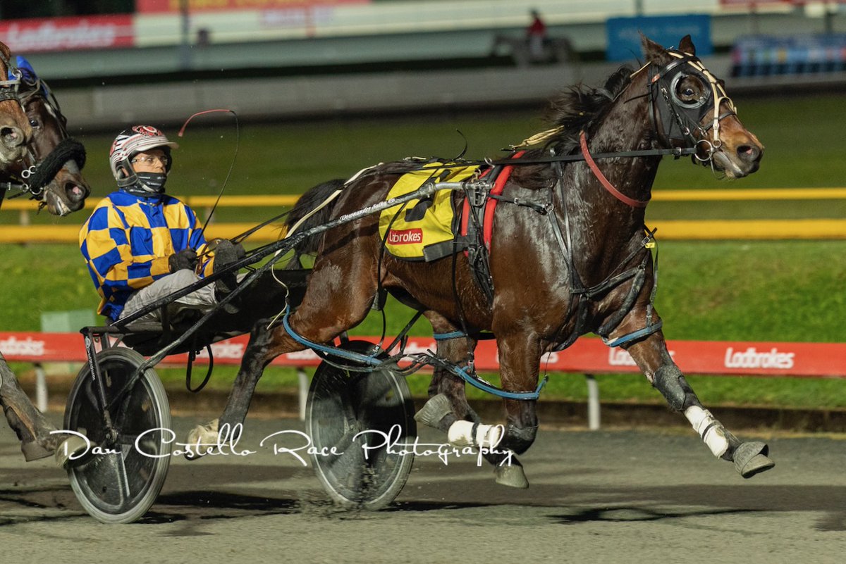 Dan Costello (@danracingwrap) on Twitter photo Ribeiro holds on for the win in race 6 <a href="/TheCreekAlbion/">The Creek</a> with <a href="/barnesy1997/">Brendan Barnes</a> for trainer <a href="/RileyButtRacing/">Riley Butt Racing</a> Ribeiro holds on for the win in race 6 <a href="/TheCreekAlbion/">The Creek</a> with <a href="/barnesy1997/">Brendan Barnes</a> for trainer <a href="/RileyButtRacing/">Riley Butt Racing</a>