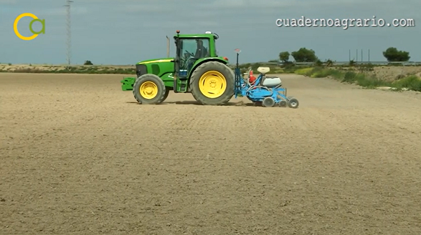 CuadernoAgrario's tweet image. 📺 Mañana sábado #CuadernoAgrario370 

1. Concluye la siembra del #algodón con @espalgodon 🌱💨
2. Consejo de Ministros de #Agricultura #UE🇪🇺 
3. Congreso de @COAGANDALUCIA #XICongresoCoagAndalucia👩🏻‍🌾

💻No te lo pierdas en cuadernoagrario.com