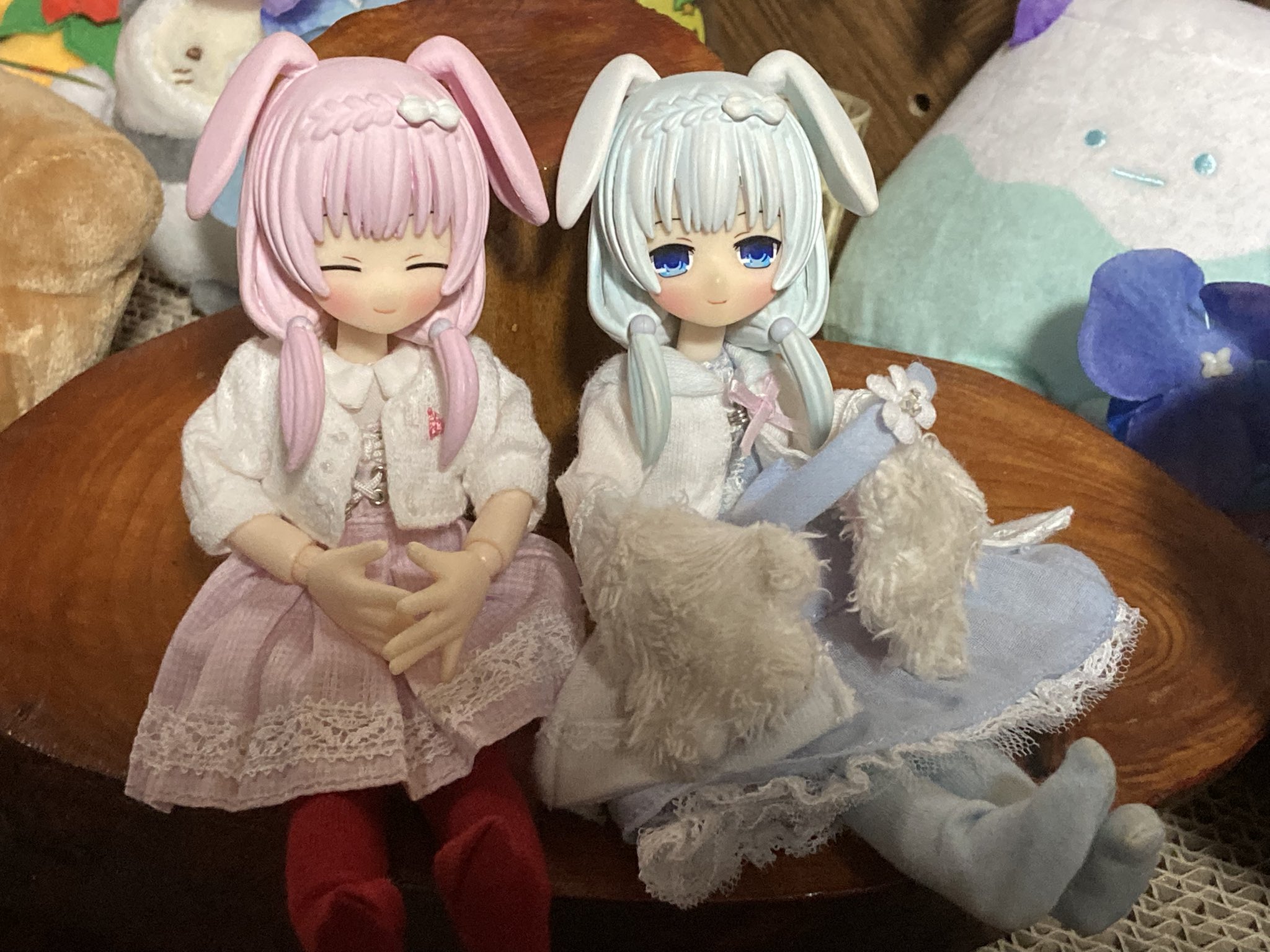 超希少美株︎‪！ソテツ斑入り現品限り 新葉が開いたら写真をアップします⤴ figma 葉月 恋【4545784068069】