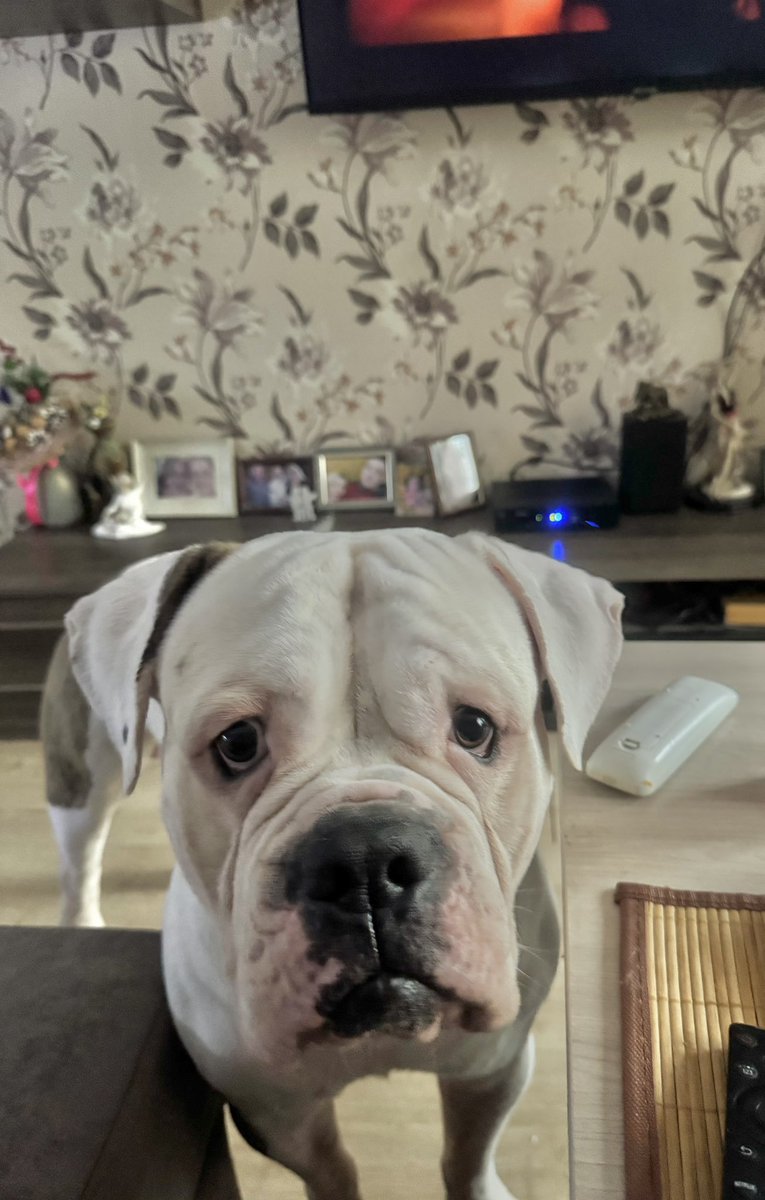 Ну вот у Рима глаз зажил👍