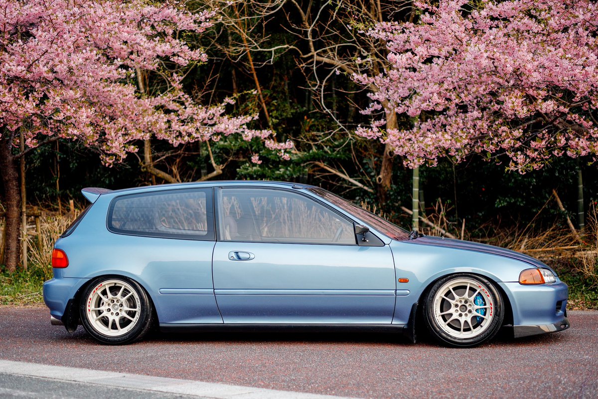 #突然サイドビュー貼ってみる