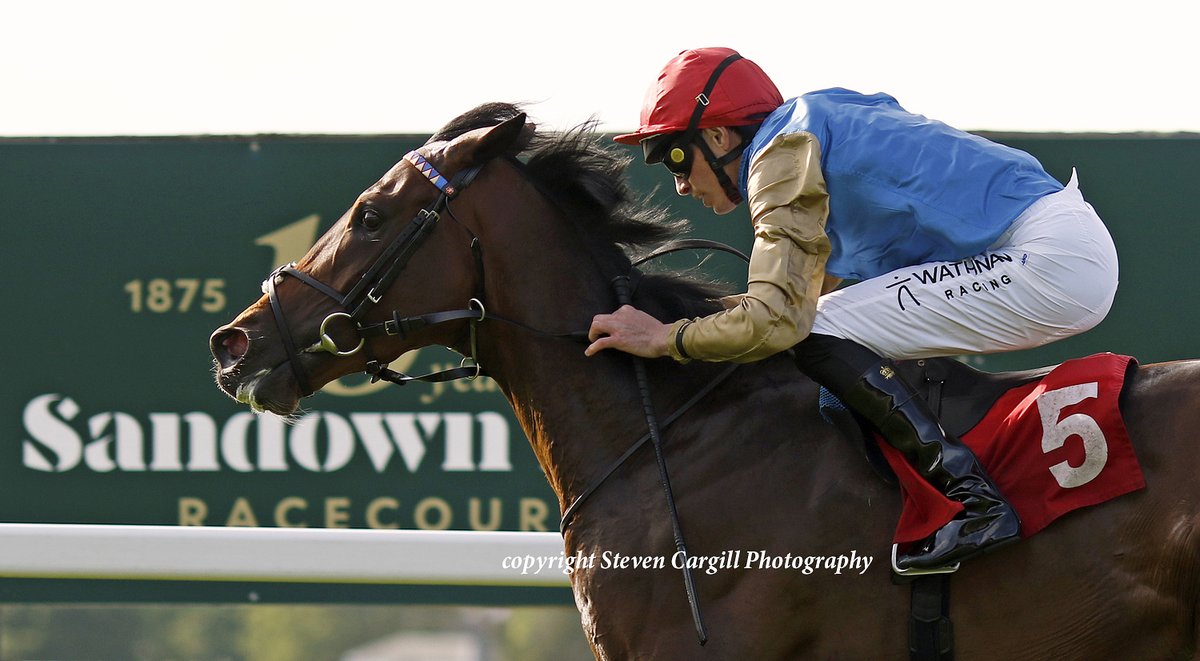 Steven Cargill (@steven_cargill) on Twitter photo 4th start, 1st win for colt WICKED <a href="/the_doyler/">James Doyle</a> in 8f 3yo handicap <a href="/Sandownpark/">Sandown Park</a> last night for <a href="/JuddmonteFarms/">Juddmonte</a> Kingman and trainers John & Thady Gosden. 4th start, 1st win for colt WICKED <a href="/the_doyler/">James Doyle</a> in 8f 3yo handicap <a href="/Sandownpark/">Sandown Park</a> last night for <a href="/JuddmonteFarms/">Juddmonte</a> Kingman and trainers John & Thady Gosden.