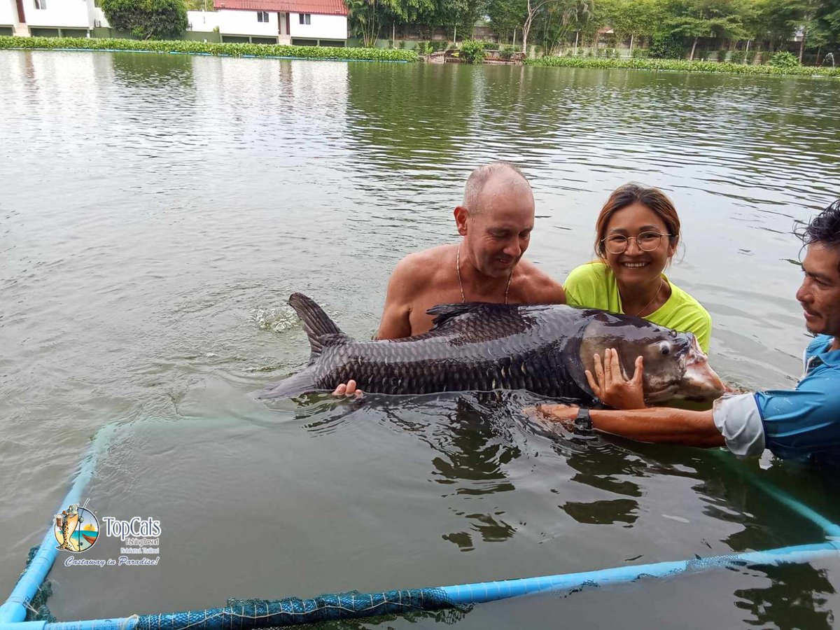 TopCatsThailand's tweet photo. 🚨 Carp Slap Alert! 🚨
It happened again… and this time, it was a couple sharing the splash (and the laughs) A classic “carpslap” moment that left the couple soaked, stunned, and absolutely cracking up. 😂 #CarpFishing #CouplesWhoFish #SiameseCarp #FishingMemories https://t.co/eNUnttUhwl
