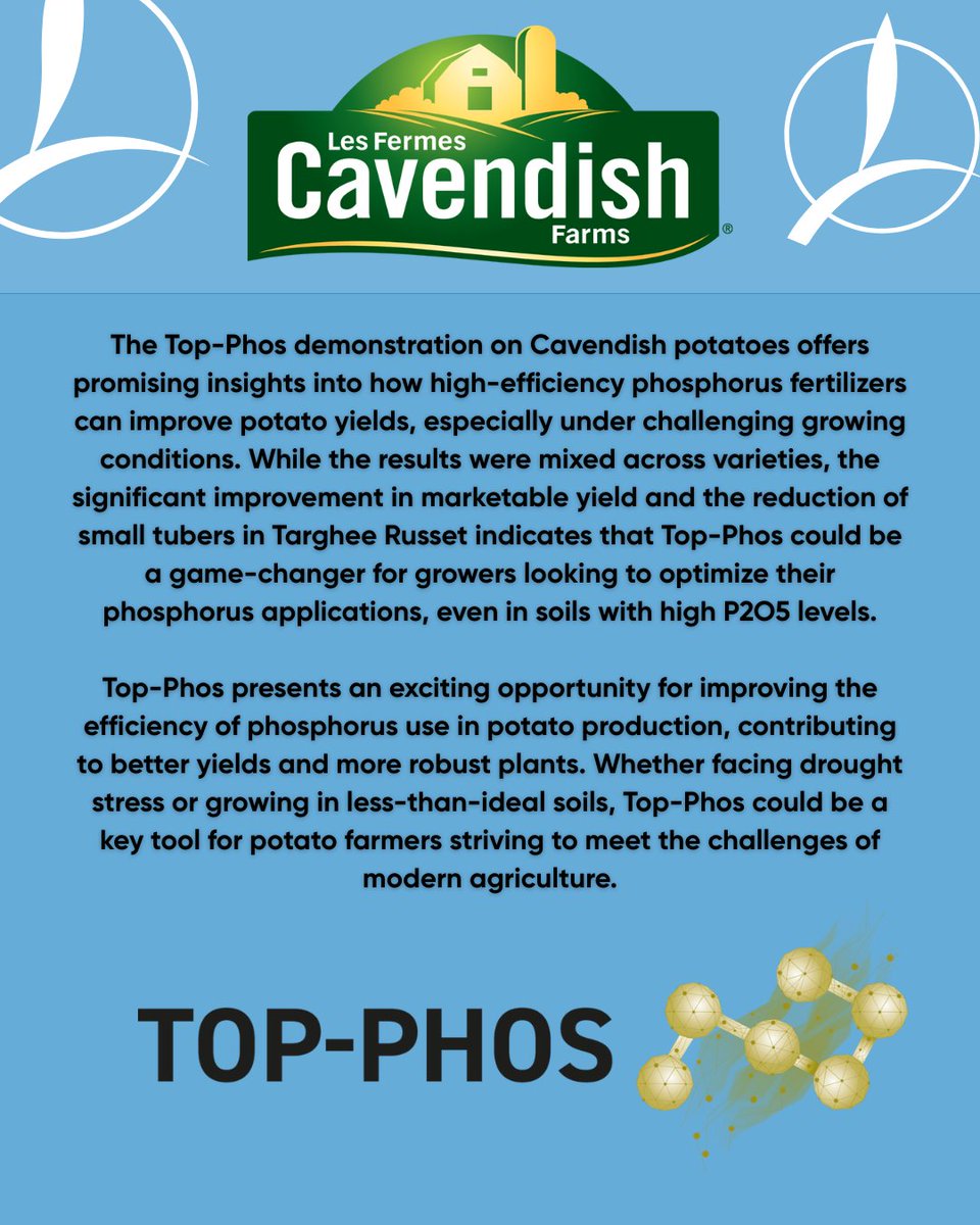 Happy #InternationalPotatoDay! Top-Phos partnered with Cavendish Farms and the results were impressive! Stronger roots. Bigger returns.
🔗 zurl.co/T8lkw 

#InternationalPotatoDay #FarmtheFuture #FarmingInspiredByNature #TopPhos #PotatoPower #TimacAgro #CavendishFarms
