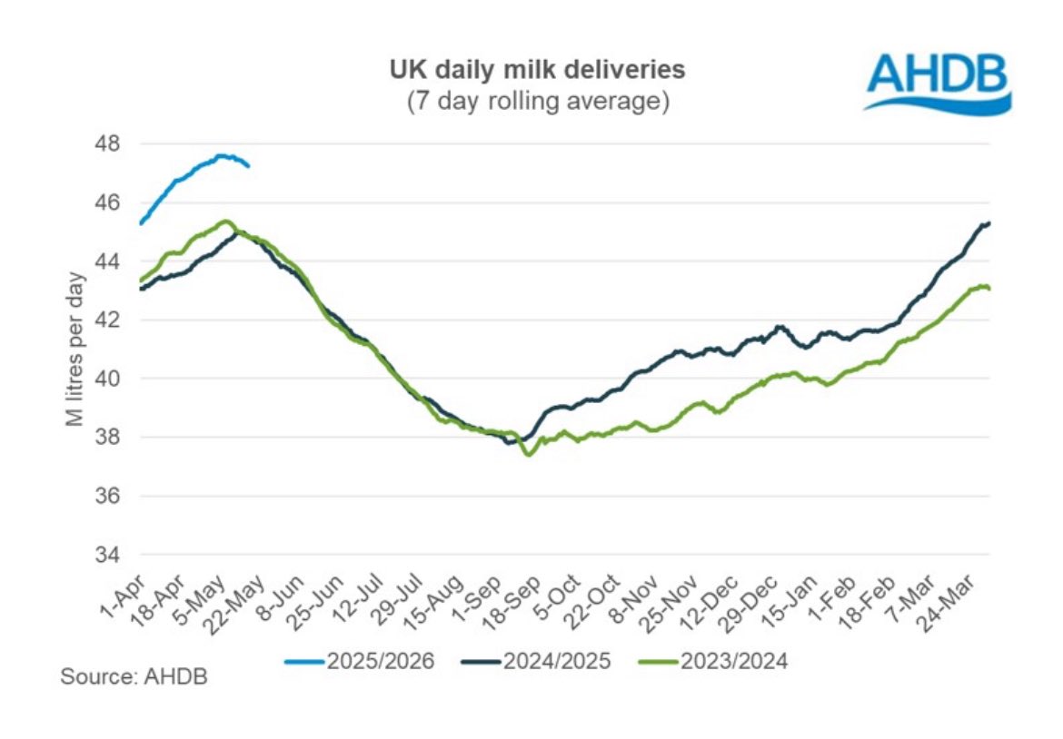 Oliver Hall tweet media