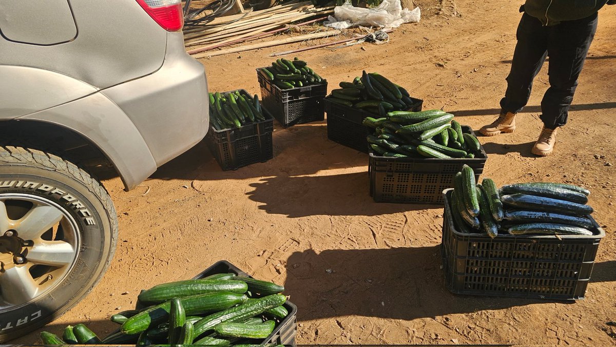 Cynthia Jera tweet media