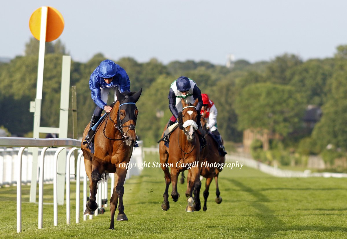 Steven Cargill (@steven_cargill) on Twitter photo 8th win for 7yo g TRAWLERMAN in 16f G3 Henry II Stakes <a href="/Sandownpark/">Sandown Park</a> last night for <a href="/OverburySires/">Overbury Stallions</a> Golden Horn <a href="/godolphin/">Godolphin</a> 8th win for 7yo g TRAWLERMAN in 16f G3 Henry II Stakes <a href="/Sandownpark/">Sandown Park</a> last night for <a href="/OverburySires/">Overbury Stallions</a> Golden Horn <a href="/godolphin/">Godolphin</a>